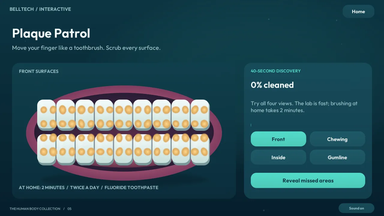 Plaque Patrol: scrubbing plaque from the front surfaces of illustrated teeth